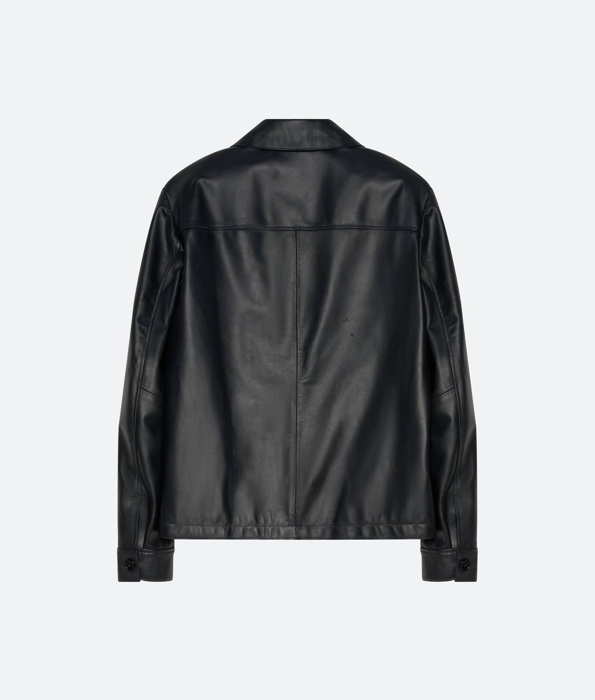 Leather Zip Blouson in Black Leather - packshot